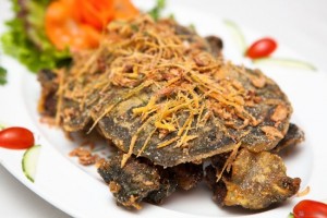 Ba Ba nướng than hoa